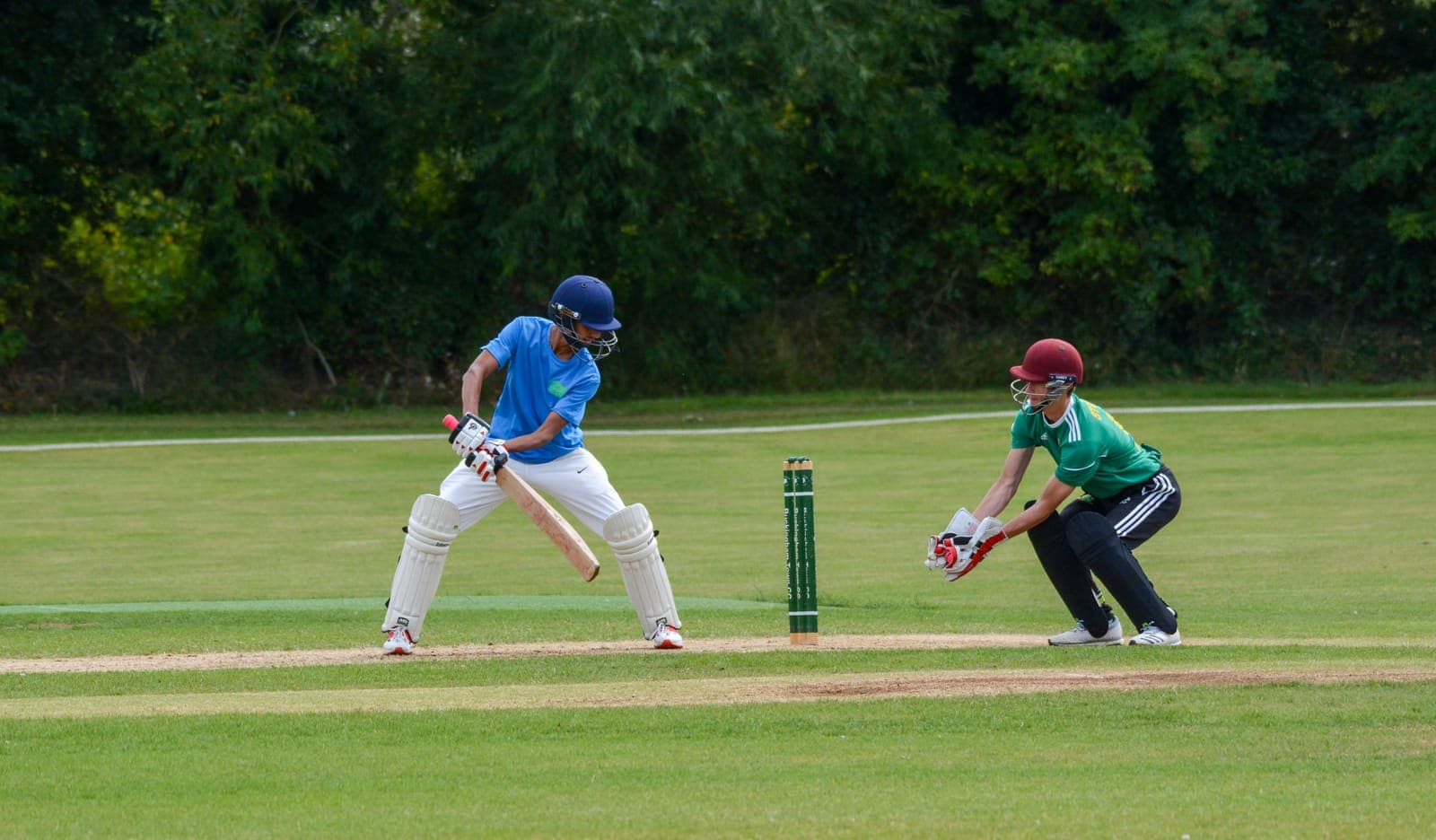 Cricket action